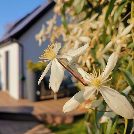 Hastings Casita, 'Little House' Self Contained Garden Lodge, Close To Town And Seafront Esterno foto