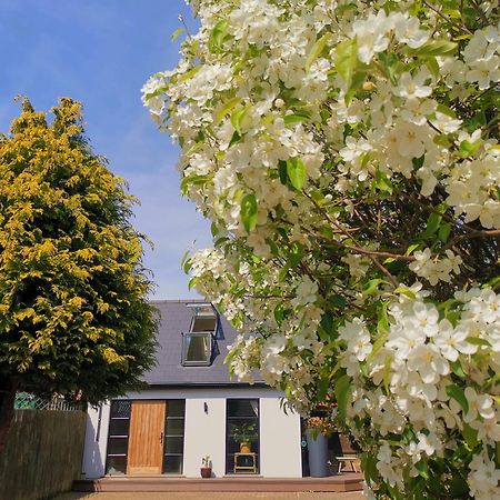 Hastings Casita, 'Little House' Self Contained Garden Lodge, Close To Town And Seafront Esterno foto