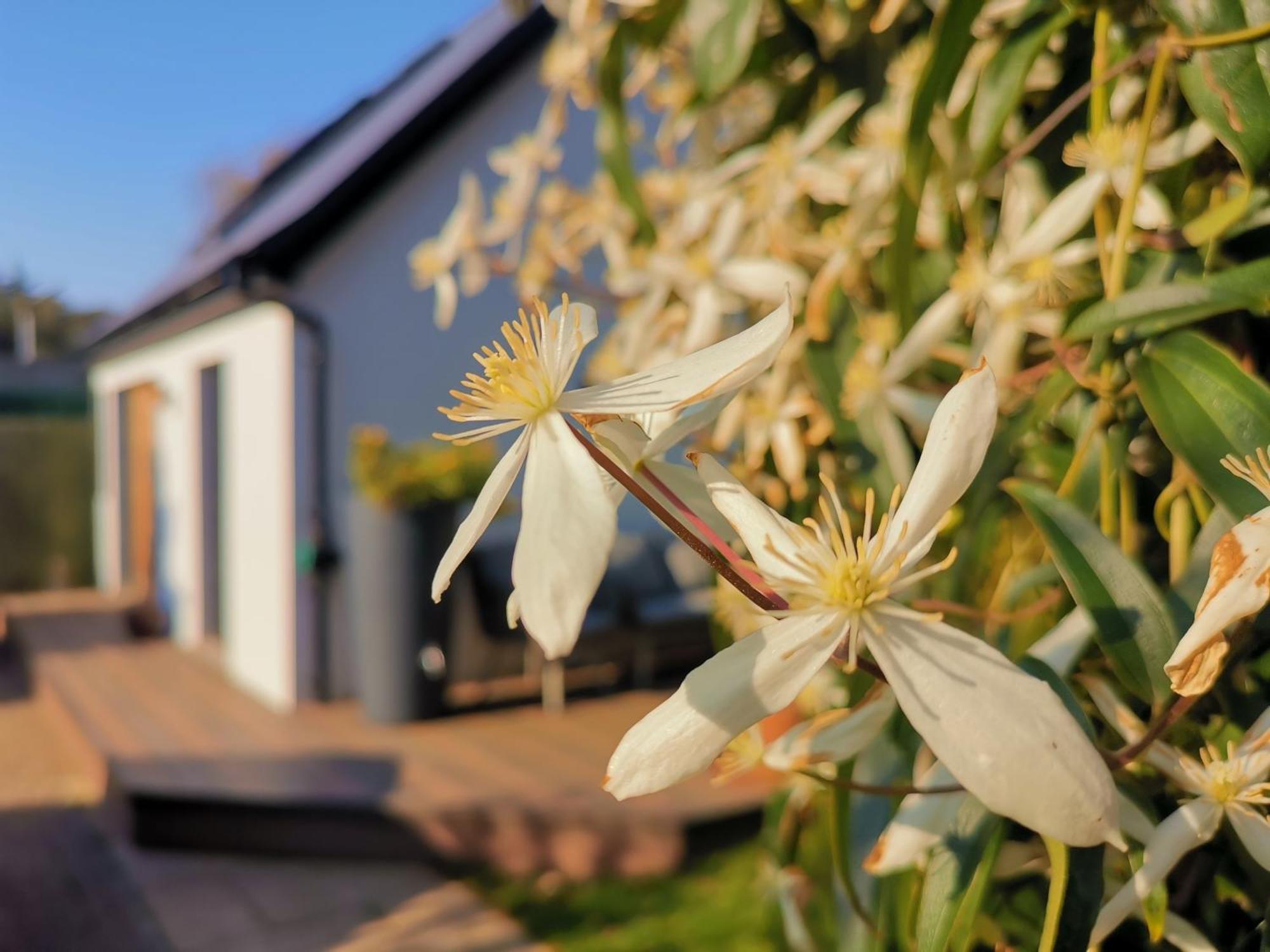 Hastings Casita, 'Little House' Self Contained Garden Lodge, Close To Town And Seafront Esterno foto