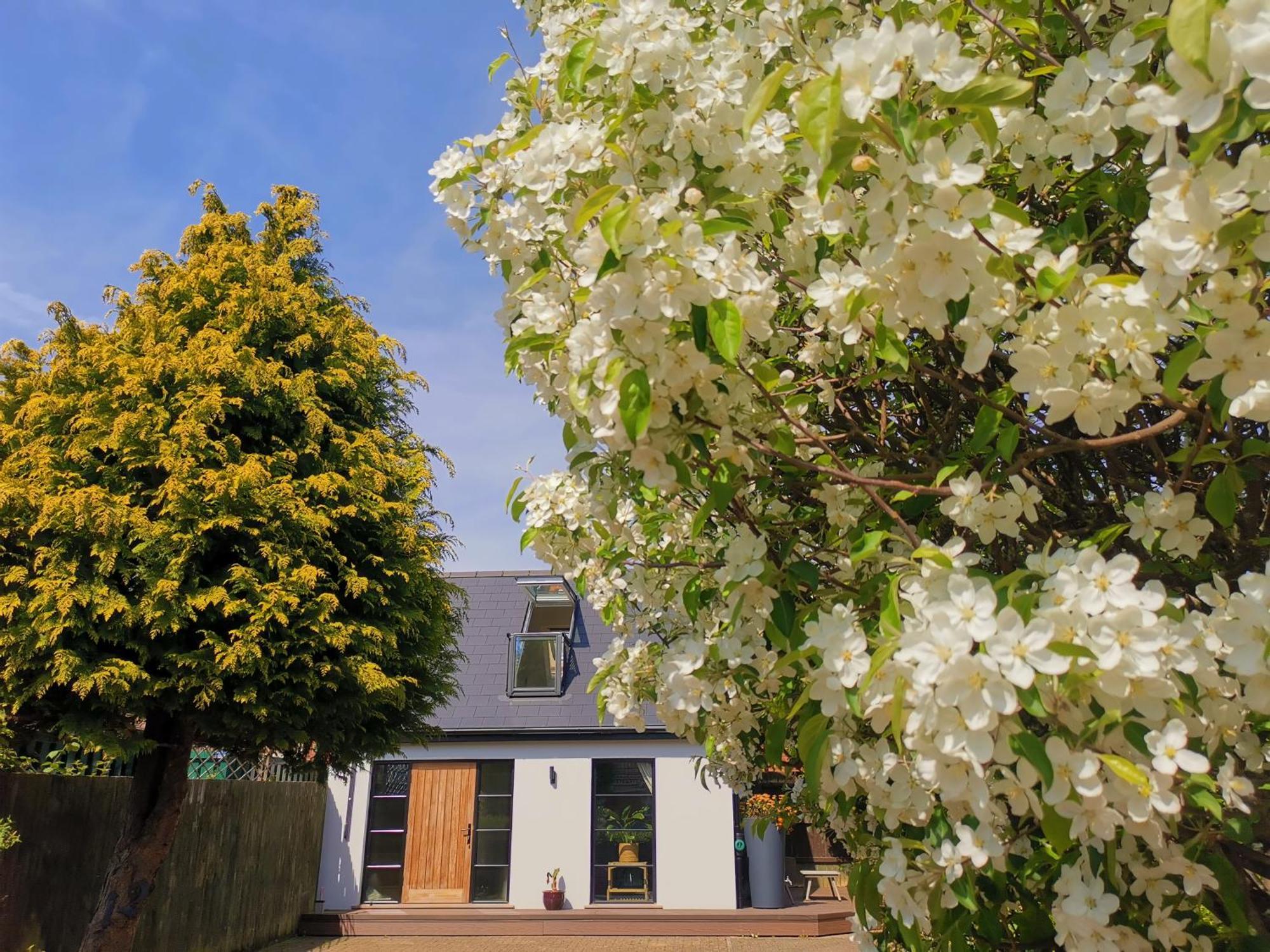 Hastings Casita, 'Little House' Self Contained Garden Lodge, Close To Town And Seafront Esterno foto